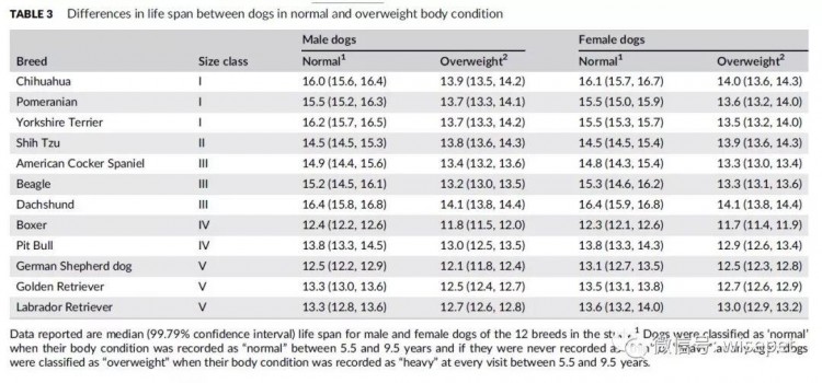 狗狗超重到底少活多少年