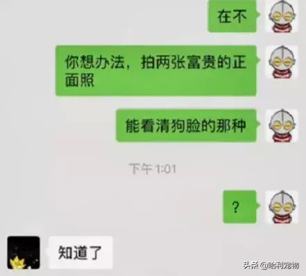 网友给二哈拍证件照，结果这家伙的反应笑死人：你拍到正脸算我输