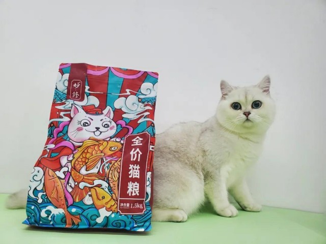 干货：6款适合幼猫的猫粮新手盲选不出错